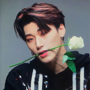23788252jpg — Kpop Idol Tier List option 10