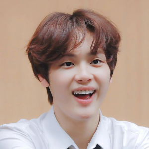 346ff5c513b7d4f5fac8f4336a0bbf442jpg — Kpop Idol Tier List option 11