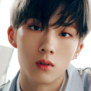 6e5fa1c7f8fde5c149ad95c292af98112jpg — Kpop Idol Tier List option 23