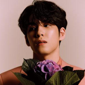 Wonpil2jpg — Kpop Idol Tier List option 72