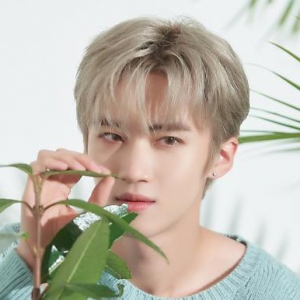 Ptg Yananjpeg — Kpop Male Idols Part.2 (M-Z) - Kpop In Rome option 101