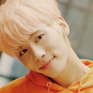 Shinee Jonghyunjpg — Kpop Male Idols Part.2 (M-Z) - Kpop In Rome option 113