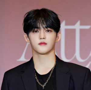Svt Scpng — Kpop Male Idols Part.2 (M-Z) - Kpop In Rome option 149