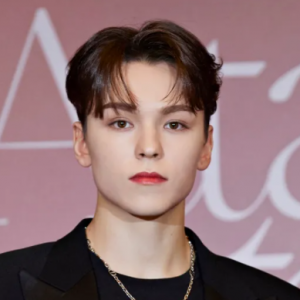 Svt Vnpng — Kpop Male Idols Part.2 (M-Z) - Kpop In Rome option 152
