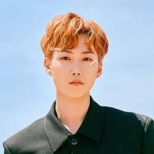 Vav Baronjpeg — Kpop Male Idols Part.2 (M-Z) - Kpop In Rome option 209