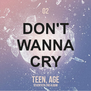 Seventeen 2png — KPOP SONGS BOY GROUP option 93