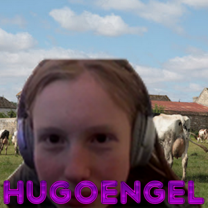 Hugoengelpng — La Tierlist LGDC option 20
