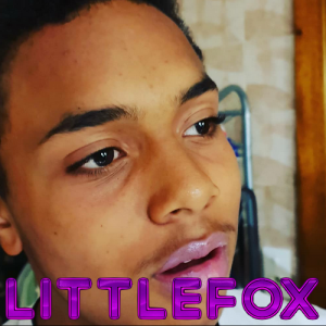 Littlefoxpng — La Tierlist LGDC option 23