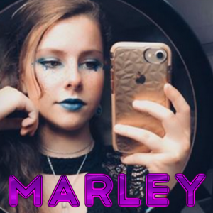 Marleypng — La Tierlist LGDC option 28