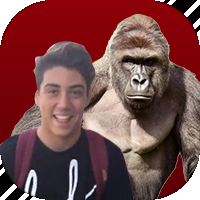Zz1586576307coolermemeteampng — Lawl Roster Swap option 261