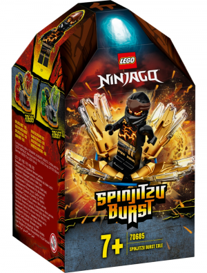 Abe2053c 0088 4ac4 Adc1 57f16998b395png — Lego Ninjago Summer 2020 Sets Tier List option 12
