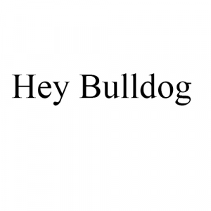 Hey Bulldogjpg — Lennon/McCartney Beatles songs option 5