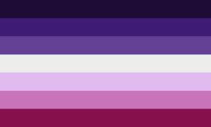 D98yjkixoac0tqxpng — lesbian flags option 14