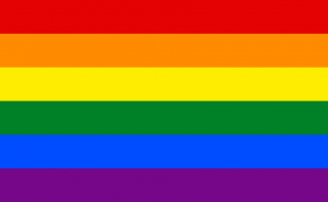 Dcfvgbnmjpg — lesbian flags option 17