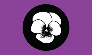 Tumblrinlinep9wwniqycb1uposu7500png — lesbian flags option 27