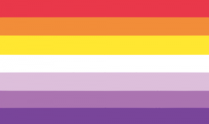 Tumblrinlinep9wwrjjxat1uposu7500png — lesbian flags option 28