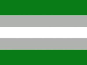 Grayaroflagpng — LGBTQ+ Pride Flags option 28