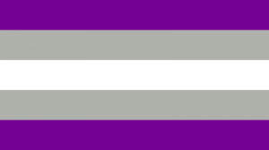 Greysexualpng — LGBTQ+ Pride Flags option 29