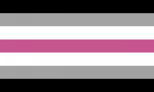 Librafeminineflagpng — LGBTQ+ Pride Flags option 32
