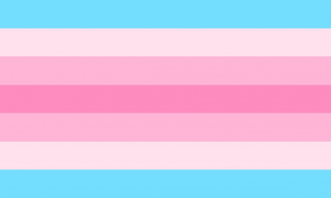 Transfeminineprideflagpng — LGBTQ+ Pride Flags option 40