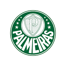 Palmeiraspng — Libertadores 2021 2.0 option 20