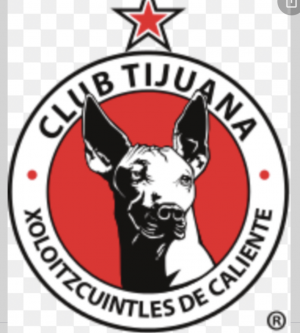 1f666665 Bcae 4e75 A769 6a74d7f60ce9jpeg — Liga MX Mexican soccer teams option 2