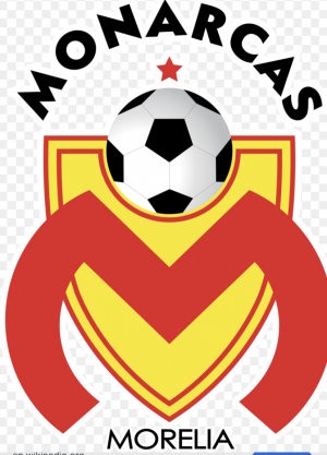 67c8dfcc 8c95 483b B963 59f5c4d8d4edjpeg — Liga MX Mexican soccer teams option 8