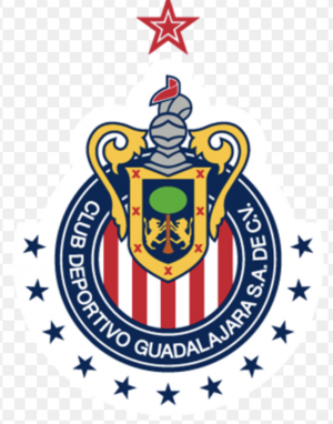 71908013 26ad 4c01 A5ae Cc025b0b9acajpeg — Liga MX Mexican soccer teams option 11