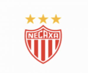 7346df01 2337 49d5 9f57 D9ece49106f8jpeg — Liga MX Mexican soccer teams option 12
