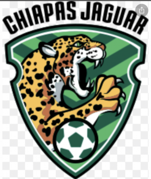 9660168e Afa7 4dc8 88f2 7cc4d2a08a2ejpeg — Liga MX Mexican soccer teams option 14