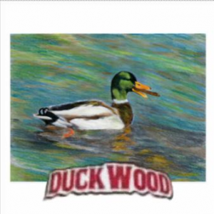 Duckwoodjpg — LIL DARKIE (ALL SONGS) option 81