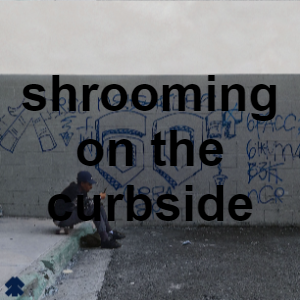 Shroomingontgecurbisepng — LIL DARKIE (ALL SONGS) option 220