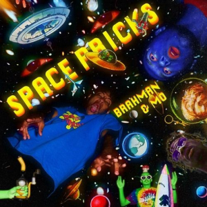 Spacepricksalbumjpg — LIL DARKIE (ALL SONGS) option 231
