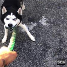 Wetjpg — LIL DARKIE (ALL SONGS) option 279