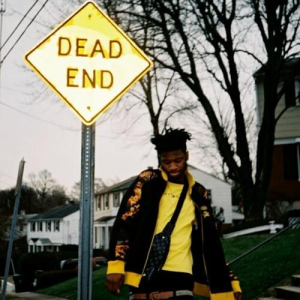 Zz1646437945d12794b172358bfb5df7a3cc497a8795500x500x1jpg — LIL DARKIE (ALL SONGS) option 428