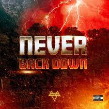Zzzzz 1701884665254 — Every Original Neffex Song option 262
