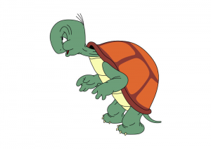 Cecil Turtle Vector 800x566jpg — Looney Tunes Cartoon Characters option 10