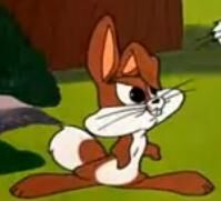 Shortyjpg — Looney Tunes Cartoon Characters option 49