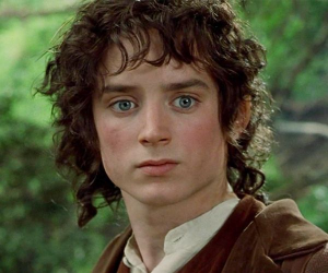 Frodojpg — Lord of the rings option 15
