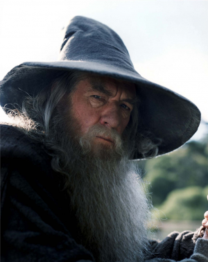 Gandalfthegreyjpg — Lord of the rings option 17