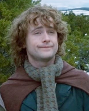 Pippinboydpng — Lord of the rings option 21