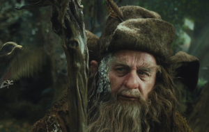 Radagastjpg — Lord of the rings option 23