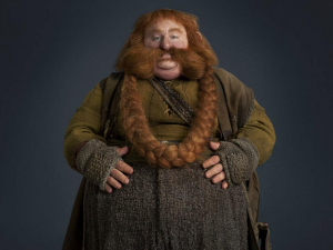 Bomburjpg — Lord of the rings characters option 15