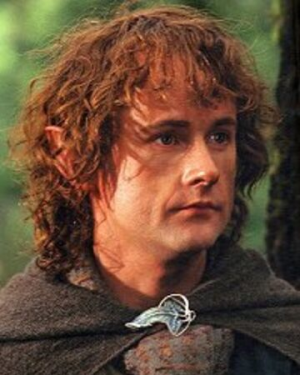 Pippinprintscreenjpg — Lord of the rings characters option 67