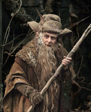 Radagastthebrownjpg — Lord of the rings characters option 69