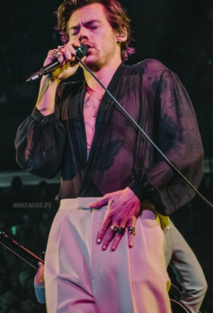 Tumblr22d40ad249fd8a1f281dc2900b23823a6aeadd80500jpg — Love on Tour Outfits Harry Styles option 8