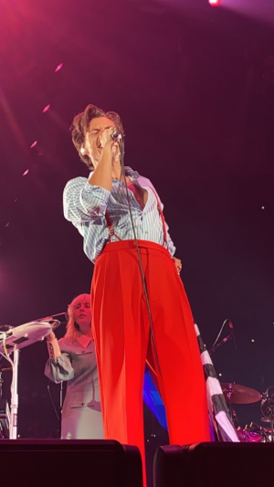 Tumblr58af2293e9011b28bde4ed586b88d6d2f674a0d5640jpg — Love on Tour Outfits Harry Styles option 17