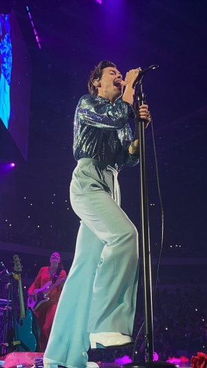 Tumblr68ccb49323a2ebec8698748f15b10a0c6264337f640jpg — Love on Tour Outfits Harry Styles option 21