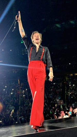 Tumblr75818305350983f35a0d67bdf733dd4cc7683e19640jpg — Love on Tour Outfits Harry Styles option 24