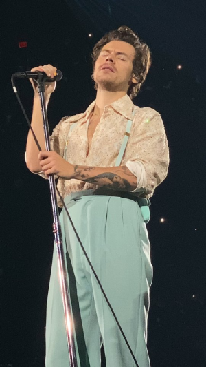 Tumblrf16713221e2defb79ad114e50c2b367a6c66f506640jpg — Love on Tour Outfits Harry Styles option 41